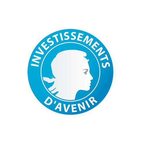 Investissements d’avenir